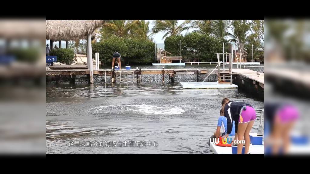 马拉松大奖赛，江南铁骑队与东海海豚队翻盘，阵地战处理得当！门前嗅觉决定胜负的简单介绍